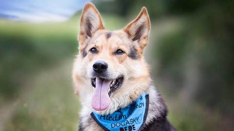 Barrandov pomáhá - Týna