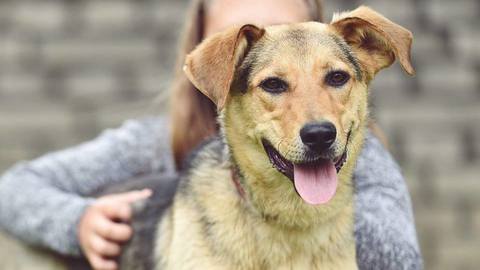 Barrandov pomáhá - Betynka