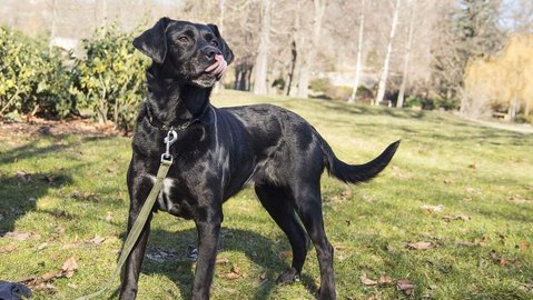 Barrandov pomáhá - Julinka