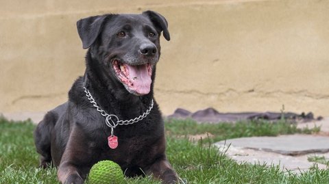 Barrandov pomáhá - Mája