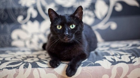 Barrandov pomáhá - Žofka