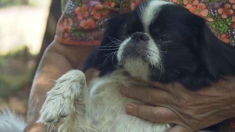 Barrandov pomáhá - Míša