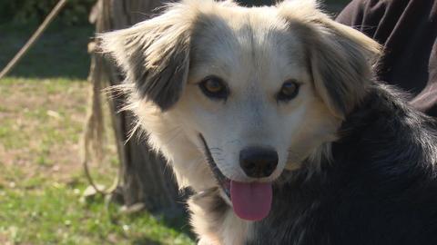 Barrandov pomáhá - Albi