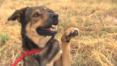 Barrandov pomáhá - Mat