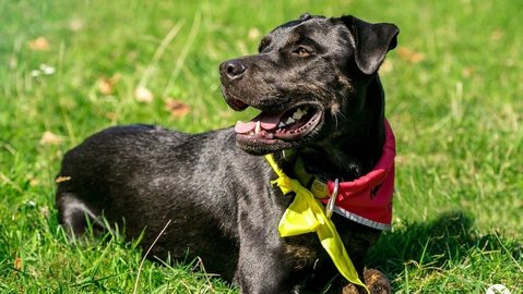 Barrandov pomáhá - Bak