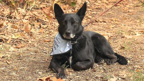 Barrandov pomáhá - Čert