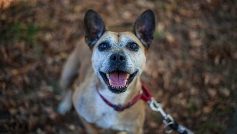 Barrandov pomáhá - Tonda