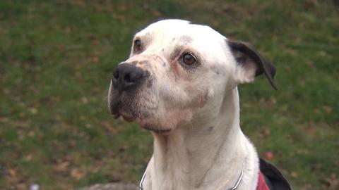 Barrandov pomáhá - Bingo