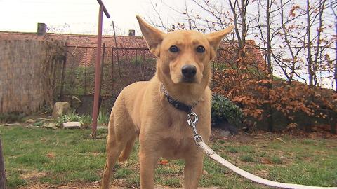 Barrandov pomáhá - Bela