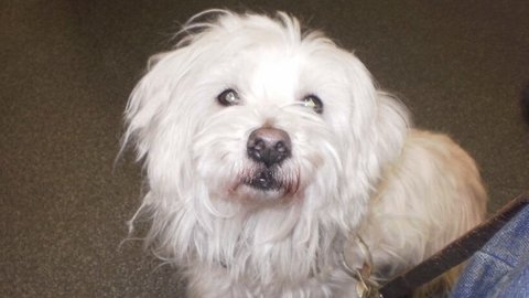 Barrandov pomáhá - Filip