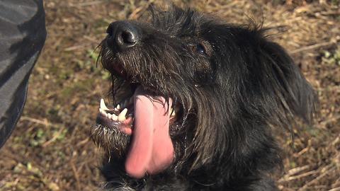 Barrandov pomáhá - Atos