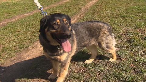 Barrandov pomáhá - Ema