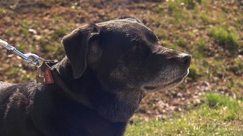 Barrandov pomáhá - Katrin