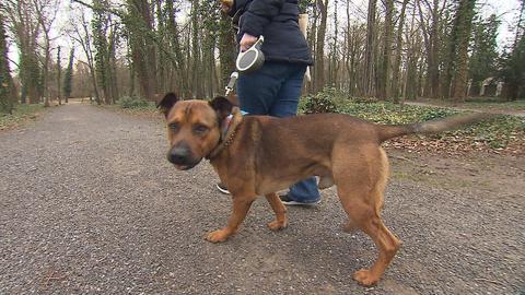 Barrandov pomáhá - Max