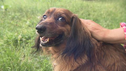 Barrandov pomáhá - Žofinka