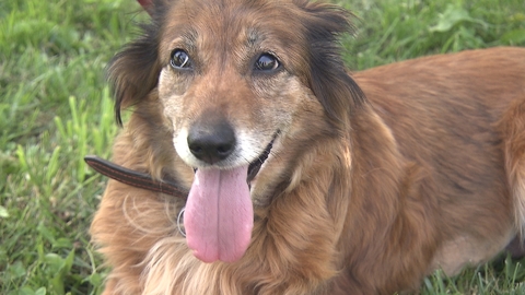 Barrandov pomáhá - Mikina