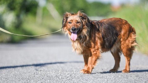 Barrandov pomáhá - Agi