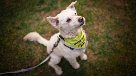 Barrandov pomáhá - Ben