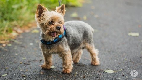 Barrandov pomáhá - Filip