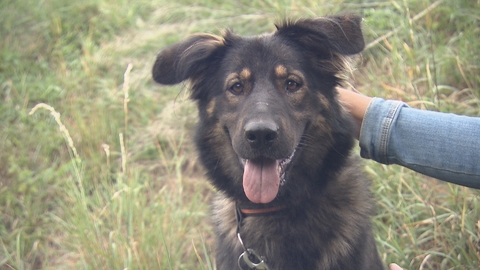 Barrandov pomáhá - Luci