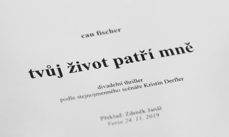 Divadelní hra Tvůj život patří mně.