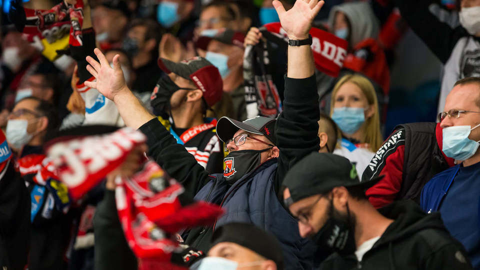 Fanoušci Mountfieldu Hradec Králové.