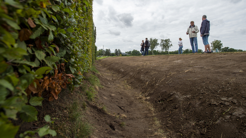 Dostihový spolek představil 19. srpna 2021 v Pardubicích  hotové úpravy Taxisova příkopu, nejnáročnějšího skoku Velké pardubické.