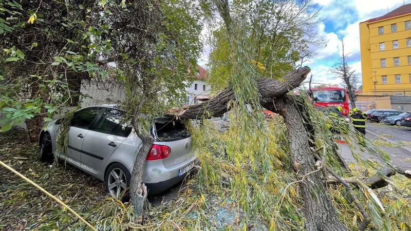 Škody, způsobené po silném větru (Praha 21. 10. 2021).