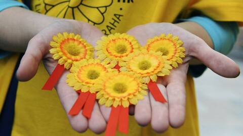 Lidé se dnes mohou zakoupením žluté květiny s růžovou stužkou zapojit do tradiční sbírky proti rakovině