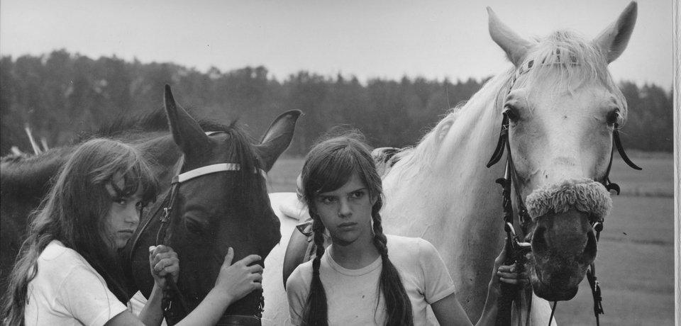 Jak se točí Rozmarýny