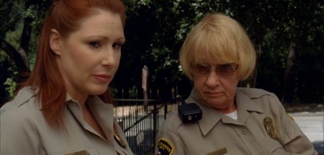 Obří krajta vs. aligátor