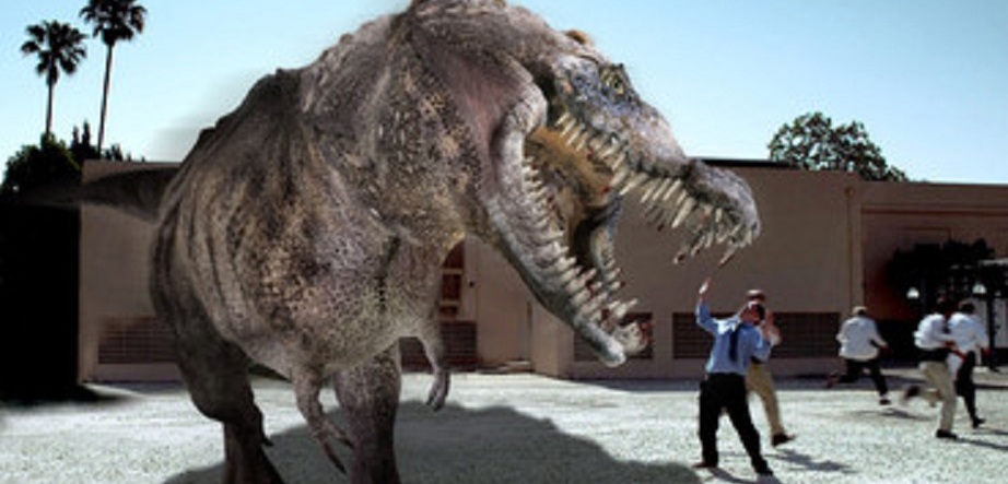 Krokodýl vs. aligátor