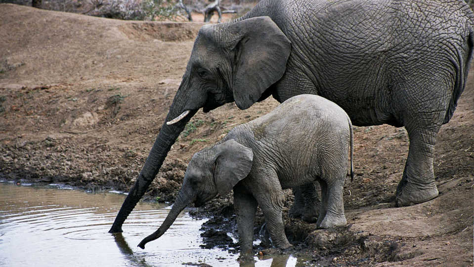 Ohrožená příroda (8)