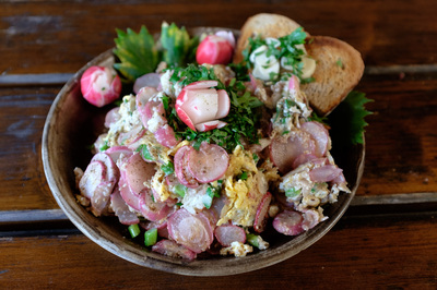 Redkvicky_po_lesnicku