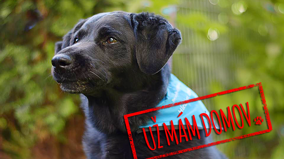 Barrandov pomáhá - Coudy