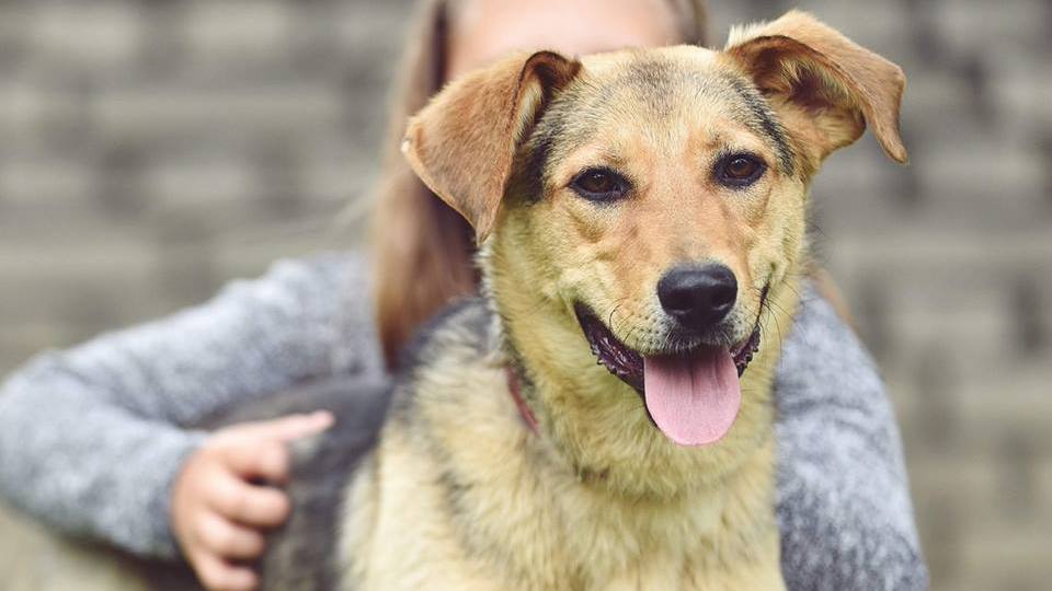 Barrandov pomáhá - Betynka