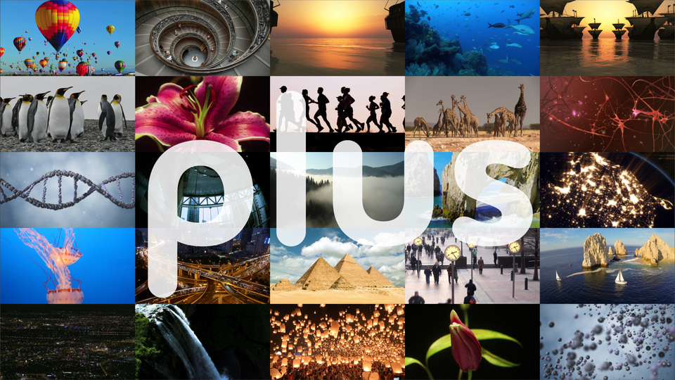 Nová hedvábná stezka (2)