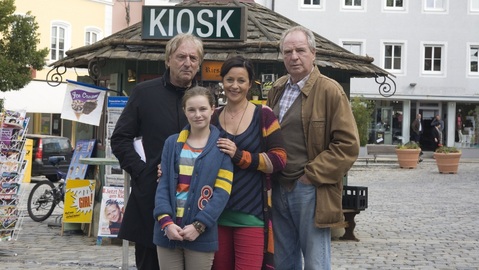 Utta Danella: Když hvězdy padaly