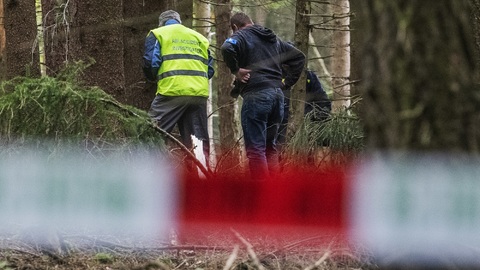 Letadlo zůstalo částečně v polámaných větvích stromů.