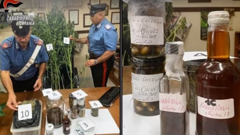 Policisté  šéfkuchaři zabavili dvě rostliny a dalších 500 gramů marihuany.