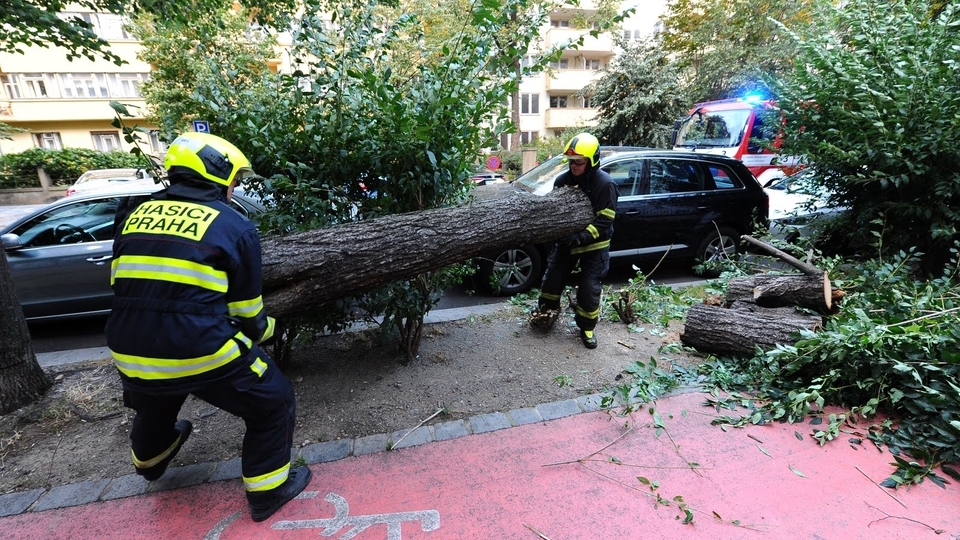 Hasiči odklízejí spadlý strom v pražské Ovenecké ulici. 