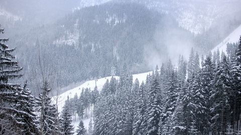 Na hřebenech Krkonoš napadl sníh.