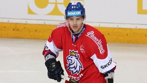 Hokejový obránce Andrej Nestrašil.