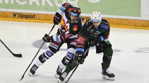 Hokejový zápas Sparta Praha - Karlovy Vary.