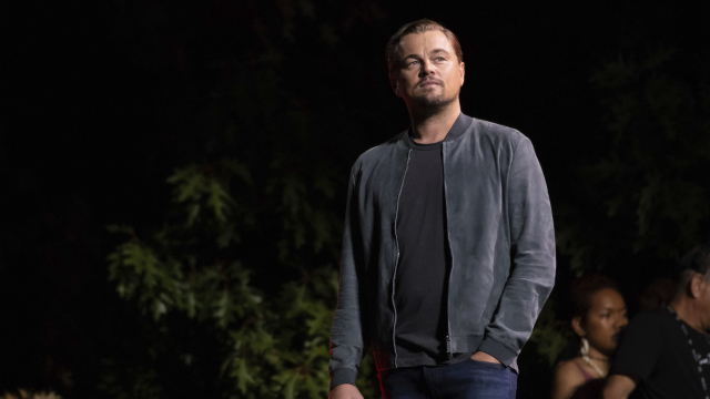 Leonardo DiCaprio.