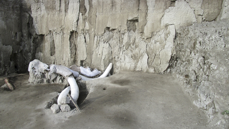 Mamutí kosti nalezené u města Tultepec v Mexiku.