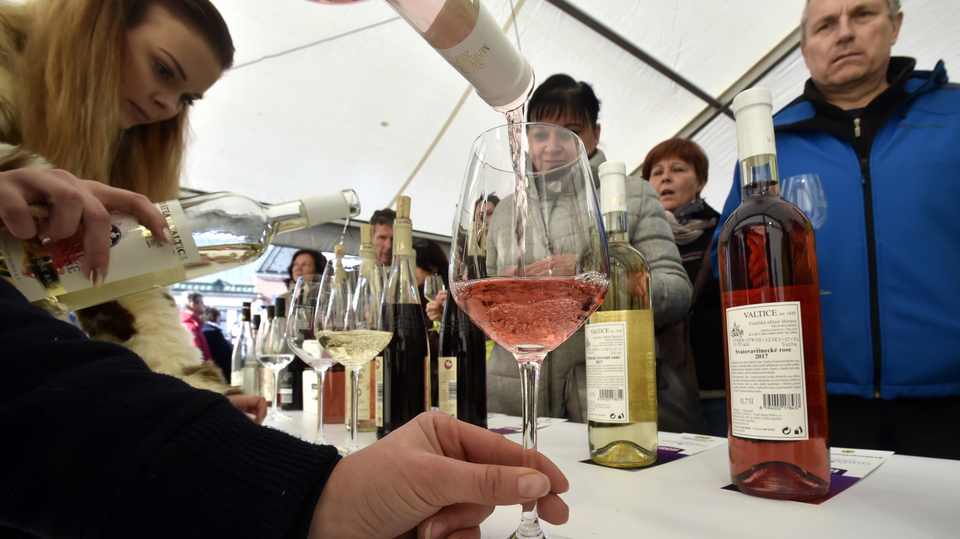 Degustace svatomartinského vína ve Zlíně. 