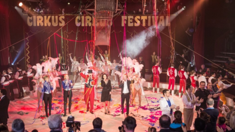 Cirkus Cirkus Festival