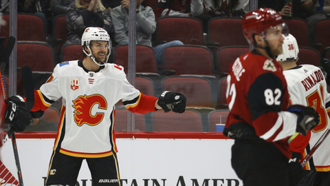 Michael Frolík se raduje z gólu v síti Arizony.