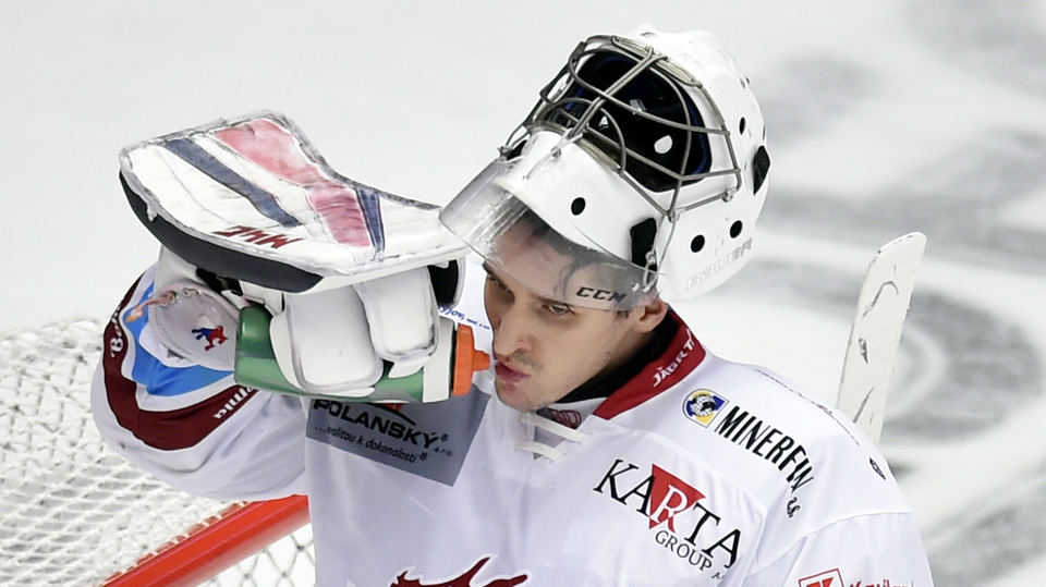 Hokejový brankář Jakub Štěpánek.